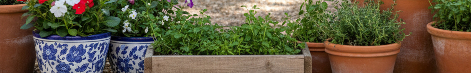 Blumentöpfe
