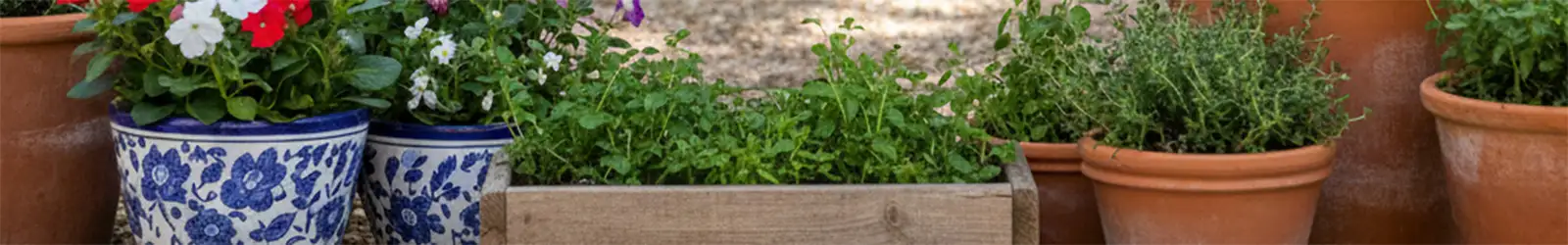 Vielfältige Blumentöpfe und Übertöpfe für Haus, Garten und Terrasse - Deko-Kiste