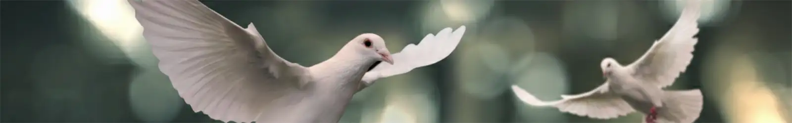 Peace - Frieden