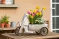 Preview: Dreiradwagen aus Holz