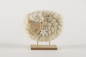 Preview: Schaf aus Holz und Wolle in weiss