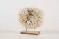 Preview: Schaf aus Holz und Wolle in weiss