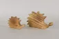 Preview: Holz-Igel aus Kiefer, geflammt 17 cm – natürliche Deko für Fensterbank oder Regal; jetzt sichern