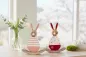 Preview: Schaukel Osterhase aus Holz Fensterdeko jetzt kaufen