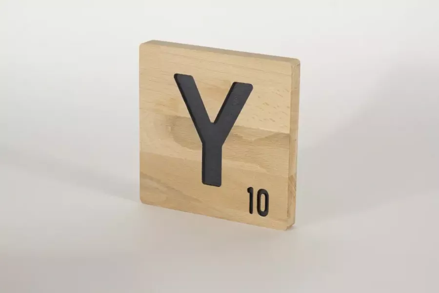 Preview: Holzbuchstaben Buchstabensteine Buche Y