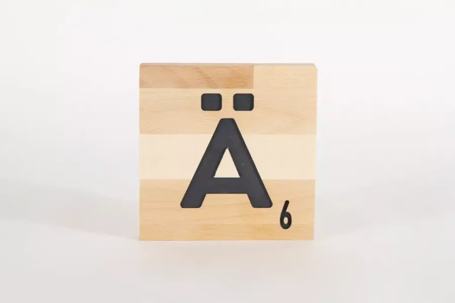 Holzbuchstaben Buchstabensteine Buche AE