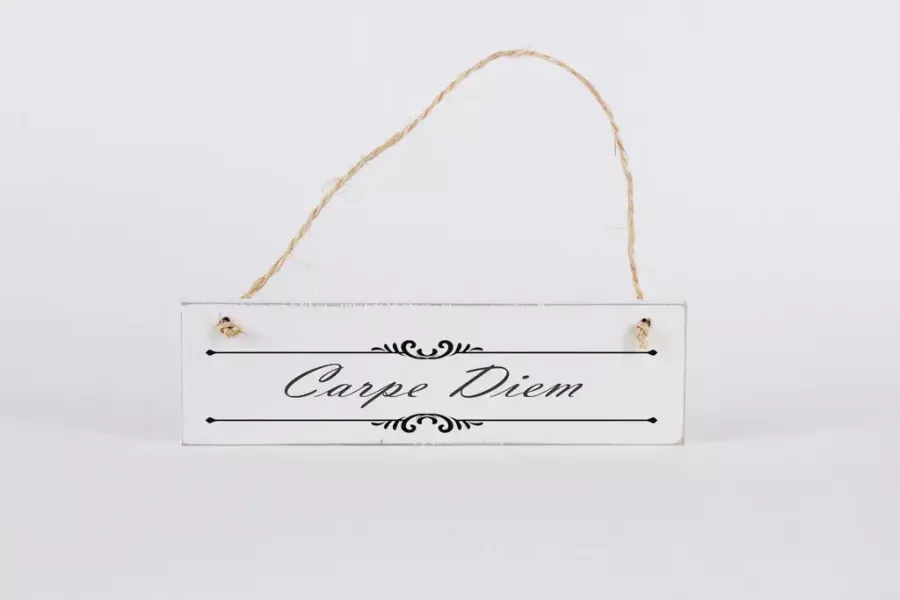 Preview: Deko-Schild Carpe Diem aus Holz, beige mit schwarzer Schrift, aufgehängt an einer weißen Wand als inspirierende Wohnzimmer-Dekoration