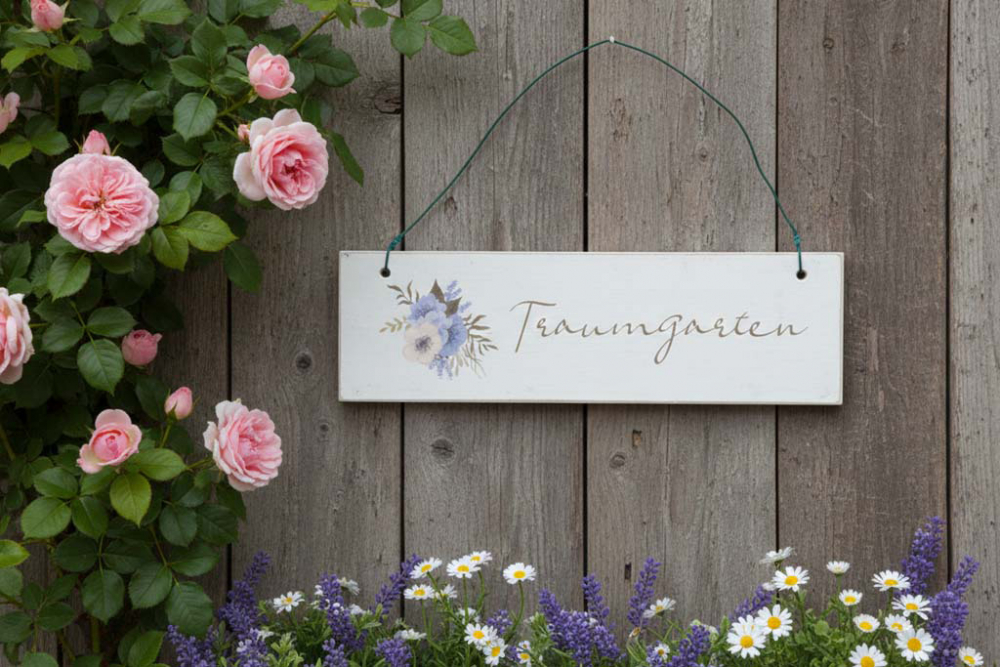 Deko-Schild Traumgarten aus Holz, rechteckig, aufgehängt an einem Gartenhäuschen, mit Pflanzen und Blumen im Hintergrund für eine idyllische Gartendekoration
