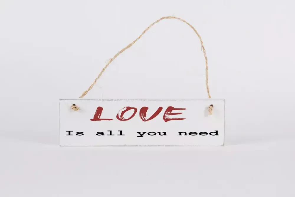 Deko-Schild „Love is all you need“ aus Holz – rustikale Vintage Wanddekoration mit handgefertigtem Look