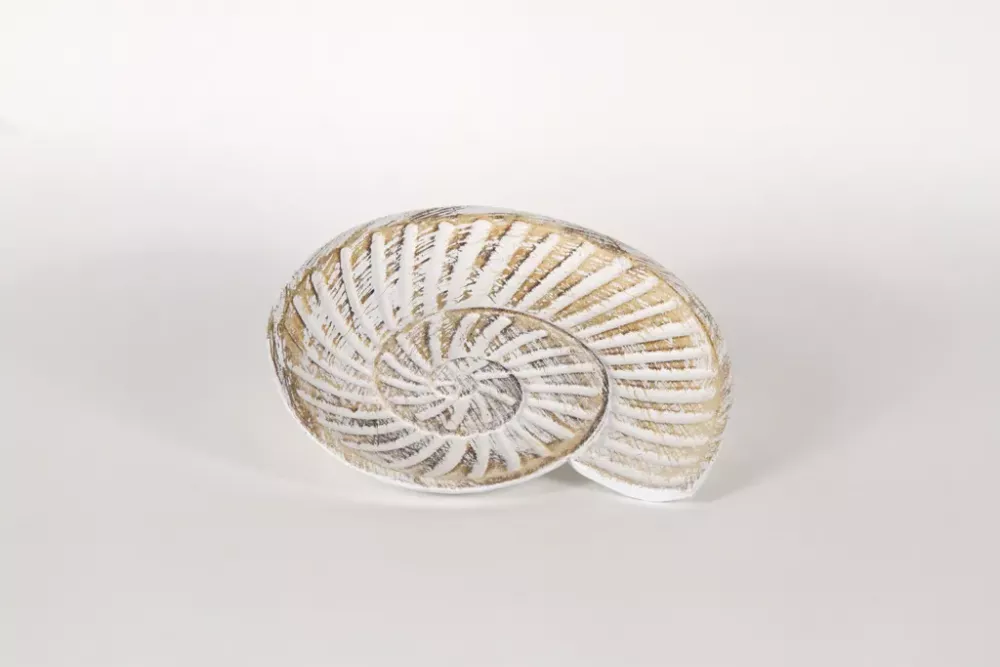 Weißer Teller aus Holz in Muschelform – maritime Deko und Servierteller